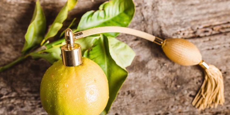 Kolonya Hediye Etmenin Zarafeti: Özel Günler için Aromatik Seçimler