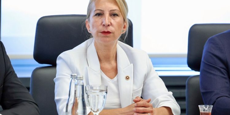 CHP Muğla Milletvekili Süreyya Öneş Derici: İktidar, Bodrum’da Turizmi Bitirmeye Yeminli!