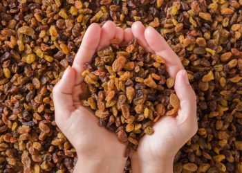 Çekirdeksiz kuru üzüm ihracatı 207 bin ton oldu