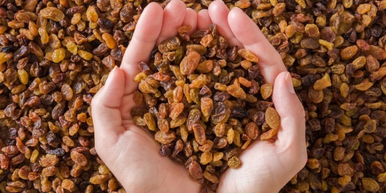 Çekirdeksiz kuru üzüm ihracatı 207 bin ton oldu