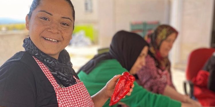 Türkiye’nin Hepsiburada’sı, e-ticaret yapan kadın kooperatifi sayısını iki katına çıkaracak