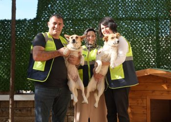 İETT Kapılarını Patili Dostlarına açtı