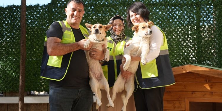 İETT Kapılarını Patili Dostlarına açtı