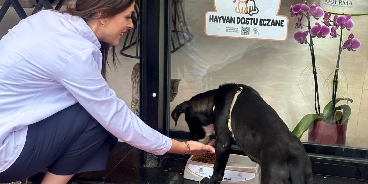 Hayvan dostu eczaneler projesi ile mama kapları sevgiyle doluyor