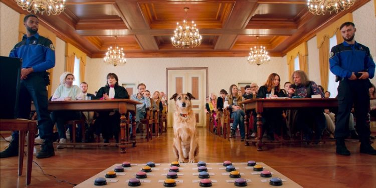 İnsan ve hayvan başrolde!