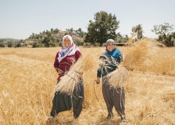 Toplumların kalkınmasını sağlayan kahramanlar: Kadın çiftçiler