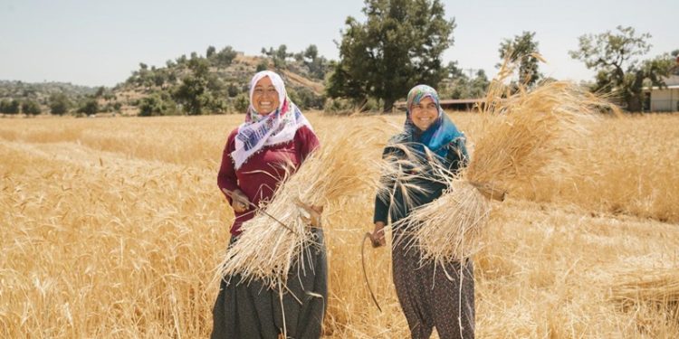 Toplumların kalkınmasını sağlayan kahramanlar: Kadın çiftçiler