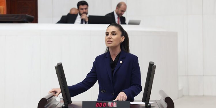 Muğla Milletvekili Gizem Özcan,  “Muğla’da son 10 yılda yaklaşık 80 bin futbol sahası büyüklüğünde orman alanı kül oldu!”