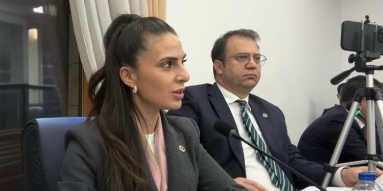 Milletvekili Gizem Özcan: Kayyım siyaseti yargının siyasallaşmasının en uç noktası