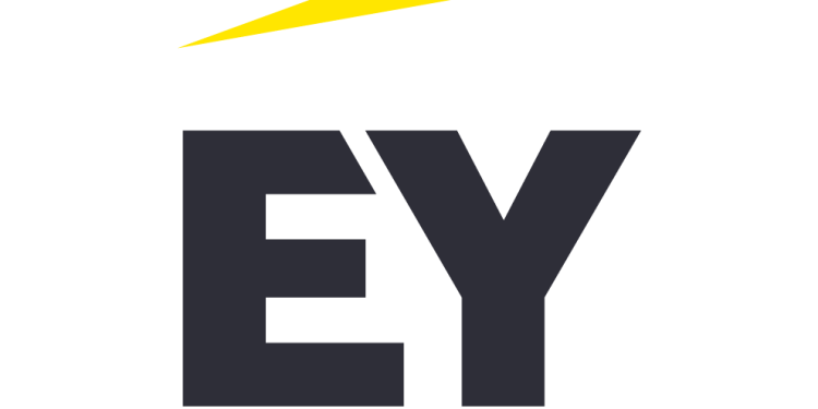 EY’ın 2024 yılı küresel geliri 51,2 milyar olarak açıklandı