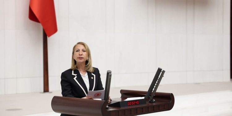 CHP Muğla Milletvekili Süreyya Öneş Derici: Etki ajanlığı toplumsal muhalefeti susturma sonucunu doğuracak