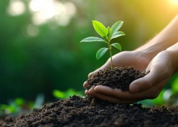 TEMA Vakfı: “Toprağa Özen Göster, Gelecek İçin Ölç, İzle, Yönet!”