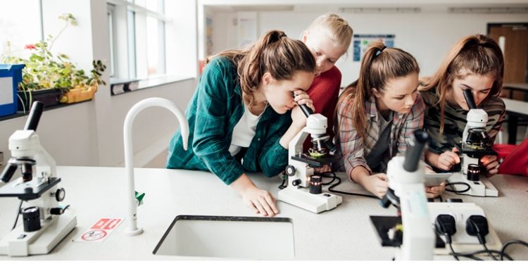 EcosySTEM Projesi yenilikçi eğitim modeliyle çevresel farkındalık sağlayacak