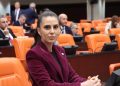 Gizem Özcan’dan Muğla’yı hedef alan Erdoğan’a yanıt:  “İktidar yerel seçim zaferimizi içine sindiremedi!”