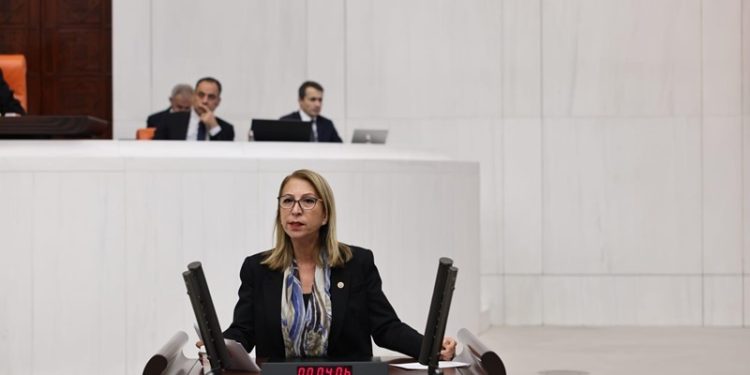 Muğla Milletvekili Süreyya Öneş Derici Mecliste Yaptığı Konuşmada İktidara Seslendi: “Film veya Dizi Çekmiyorsunuz, Ciddi Olun!”