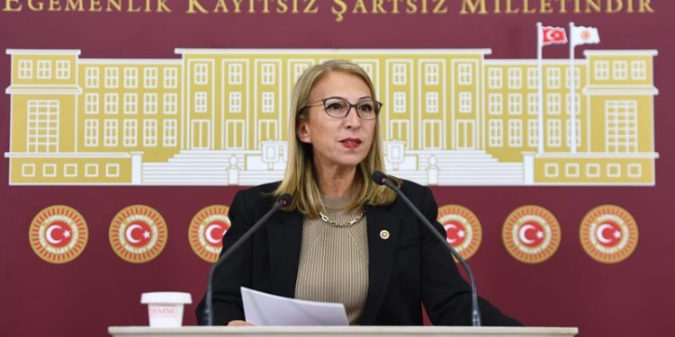 CHP Muğla Milletvekili Süreyya Öneş Derici: Muğla’da hissedilen enflasyon yüzde 80’in üzerinde, halk geçinemiyor!