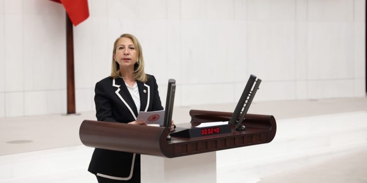 CHP Muğla Milletvekili Süreyya Öneş Derici: Marmaris’in Doğal Güzelliklerinden Elinizi Çekin!