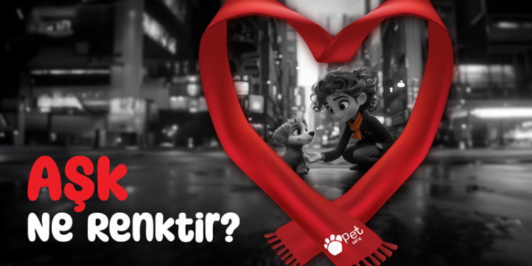 Evyap’tan Pet Love ile Kalpleri ve Barınak Hayvanlarını Isıtan  Sevgililer Günü Kampanyası