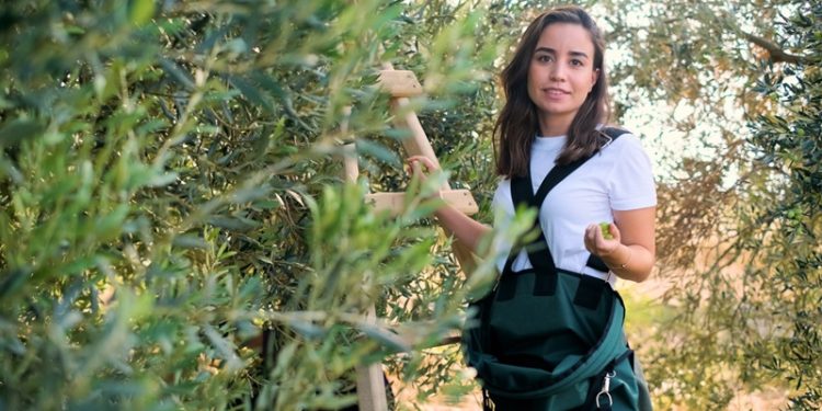 Olizzi’nin Kurucusu Ece Er Aydın : Kaliteli zeytinyağı nasıl anlaşılır  İyi zeytinyağı seçmenin püf noktaları