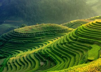 EY, Türkiye Yeşil Hidrojen Analizini yayımladı