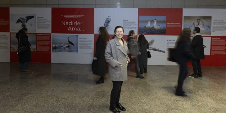 Nadir hastalıklar doğanın nadir hikayeleri ile buluştu