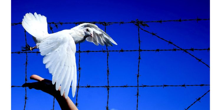 Barış ve Hoşgörü: Birlikte Yaşama Sanatı Fotoğraf Yarışması başlıyor