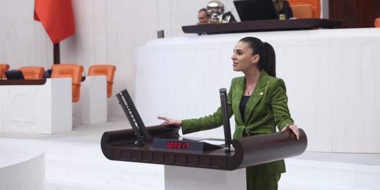 Gizem Özcan’dan çağrı: “Muğla’da Narenciye Üreticisi Destek Bekliyor”