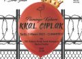 TED Ankara Koleji Mezunları Derneği Tiyatro Topluluğu 11. Yılında “Flamingo Kabare: Kral Çıplak” İle Sahneye çıkıyor