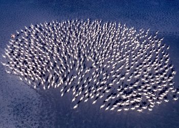 Kadın Gözüyle Hayattan Kareler’in 2025 Kazananları belli oldu