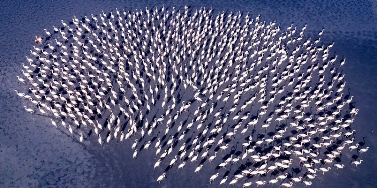 Kadın Gözüyle Hayattan Kareler’in 2025 Kazananları belli oldu