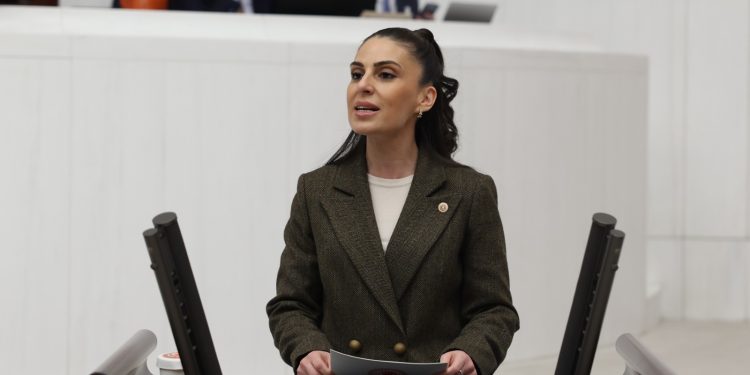 CHP Muğla Milletvekili Gizem Özcan’dan Muğla’daki demokratik direnişe yönelik baskılara tepki