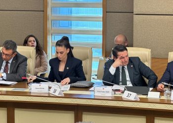 Muğla Milletvekili Gizem Özcan:  “Hukukun üstünlüğünde 3. Selim ve Tanzimat öncesi düzeye geriledik”