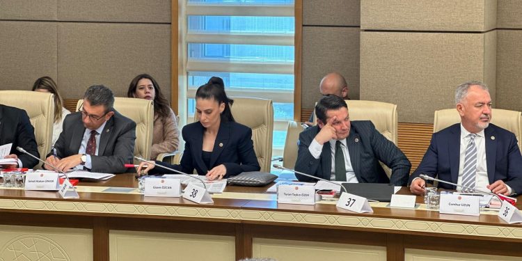 Muğla Milletvekili Gizem Özcan: “Hukukun üstünlüğünde 3. Selim ve Tanzimat öncesi düzeye geriledik”