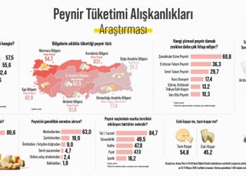 Araştırma: Türk halkının yüzde 80,6’sı her gün peynir tüketiyor