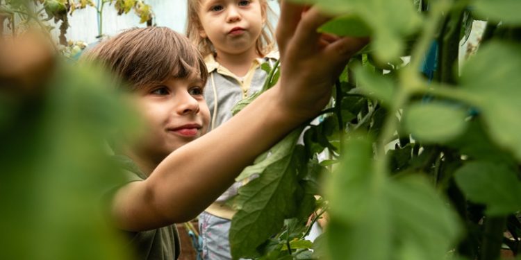 Yarının Eko-Liderleri Kadıköy’de yetişecek