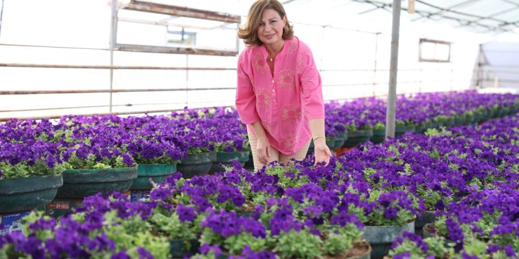 Başkan Ayşe Ünlüce: “Kendi çiçeğimizi kendimiz üretiyoruz”