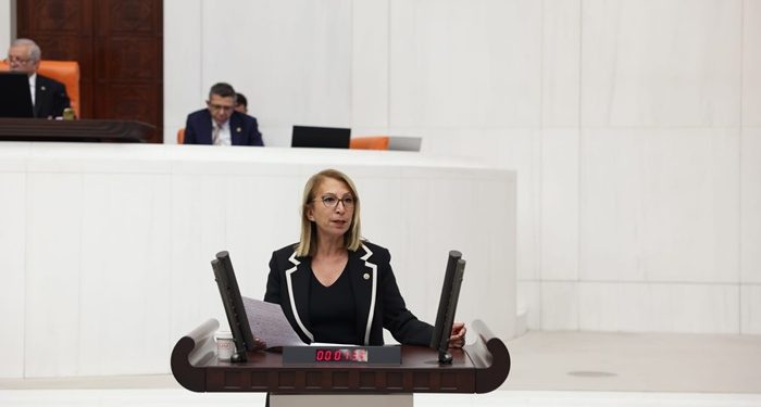 CHP Muğla Milletvekili Süreyya Öneş Derici Antik Kentlerin Korunması için TBMM’ye Araştırma Önergesi sundu