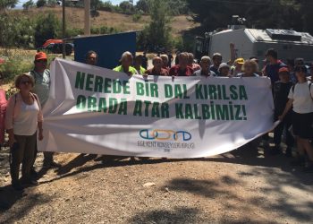 Ege Kent Konseyleri Birliği : “Zeytin ağaçlarına sahip çıkmak, doğaya sahip çıkmaktır”