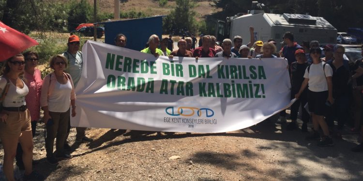 Ege Kent Konseyleri Birliği : “Zeytin ağaçlarına sahip çıkmak, doğaya sahip çıkmaktır”