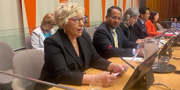 Prof. Dr. Sevil Atasoy BM’de 2024 raporlarını sundu!