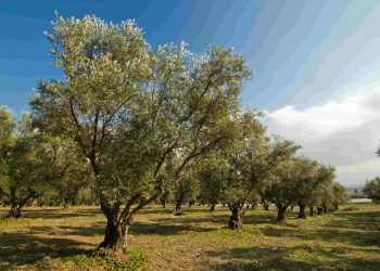 TEMA Vakfı Yönetim Kurulu Başkanı Deniz Ataç : “Büyük Tehdit Mecliste!”
