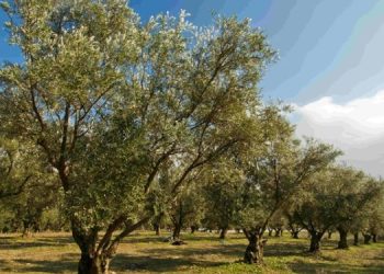 TMMOB Gıda Mühendisleri Odası : “Tarım ve Doğa Sermayeye Peşkeş çekilmeyecek Kadar Değerlidir”