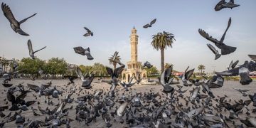 İzmir’in iklim eylemi çalışmaları Avrupa gündeminde