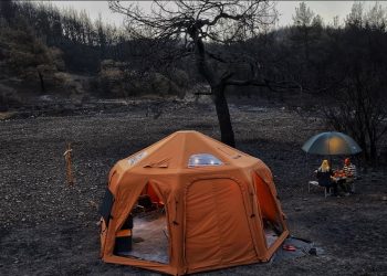 Atik Ailesi ve TEMA Vakfı’ndan orman yangınlarına karşı dikkat çeken iş birliği