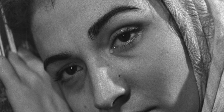 “Karanlık Dünya” sergisi Salt Galata’da ziyarete açıldı