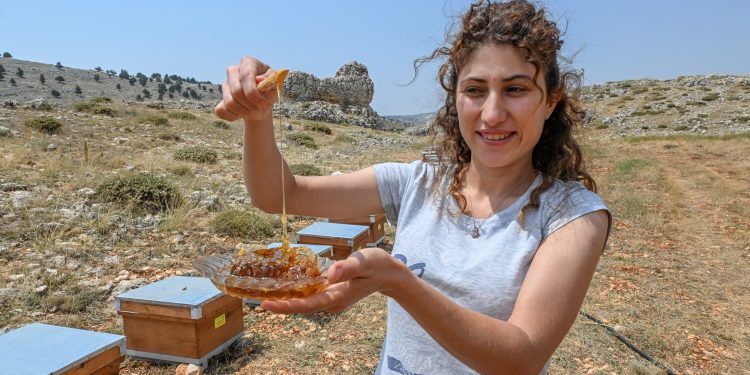 Mersin’de tarımsal destekler ile hem ekoloji hem de üretici dengede