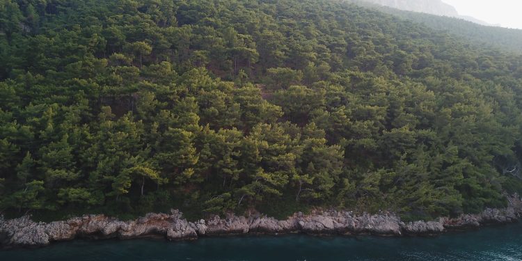 Tatilde yangın riskine karşı nasıl davranmalıyız?