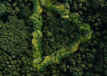 Genç yetenekler “Yeşil Vatan” için yarışacak