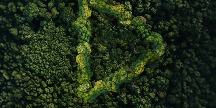 Genç yetenekler “Yeşil Vatan” için yarışacak