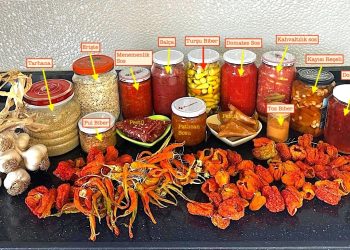 Yazdan kışa odun ateşinde menemen sosu/ Fulya Omaç